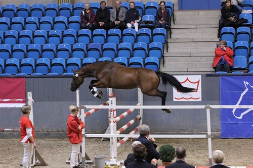 Chicota Eliteskue 2010